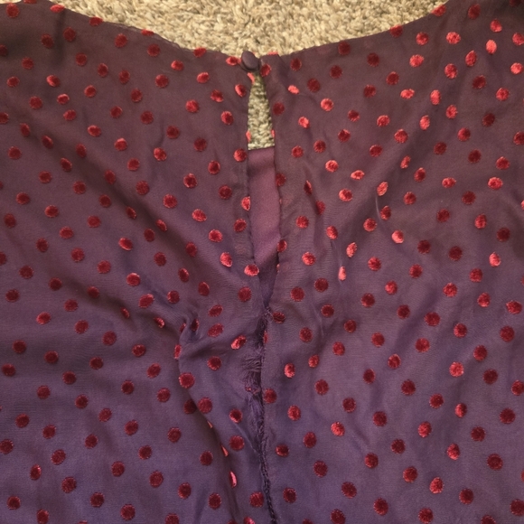 Taylor Purple Sheer Dress With Red Velvet Polka Dot Overlay Size 8 SEE NOTES! - Picture 6 of 11